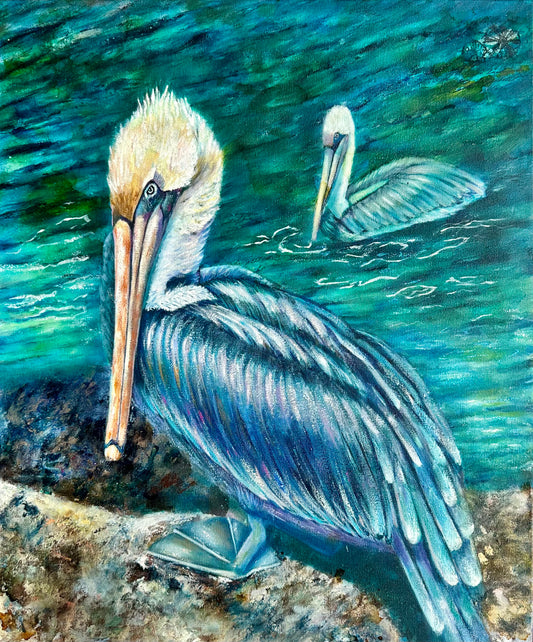 Plumage and Cirumstance