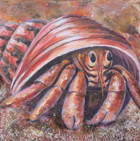 ShellSeeker